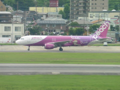 PEACH　JA804P到着