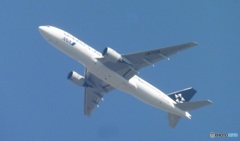 青空とSTAR ALLIEANCE