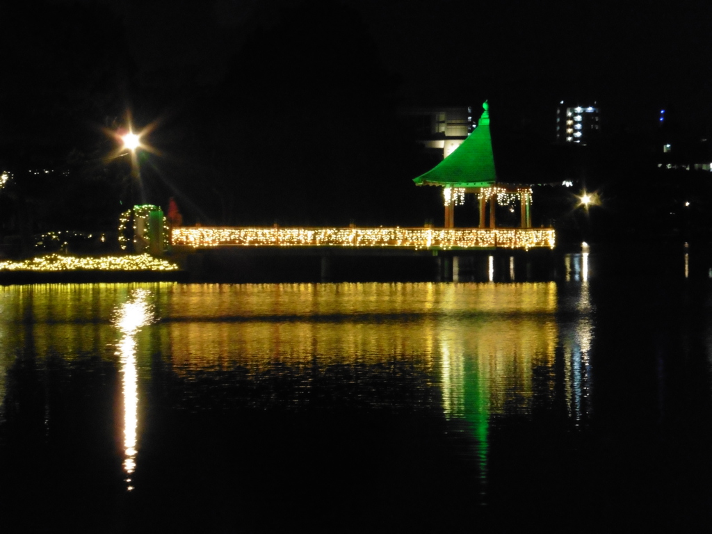 大濠公園とイルミ④