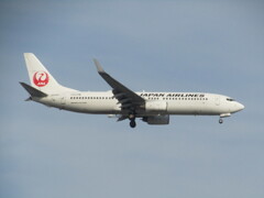 JAL 　JA333J　福岡空港