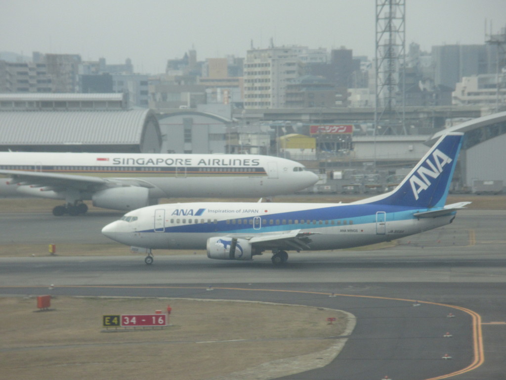 ドルフィンとシンガポール航空