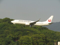 JAL  B737-800  JA342J ランディング