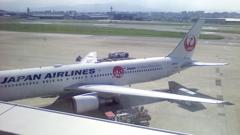 JAL B767 Japan Endless Discovery