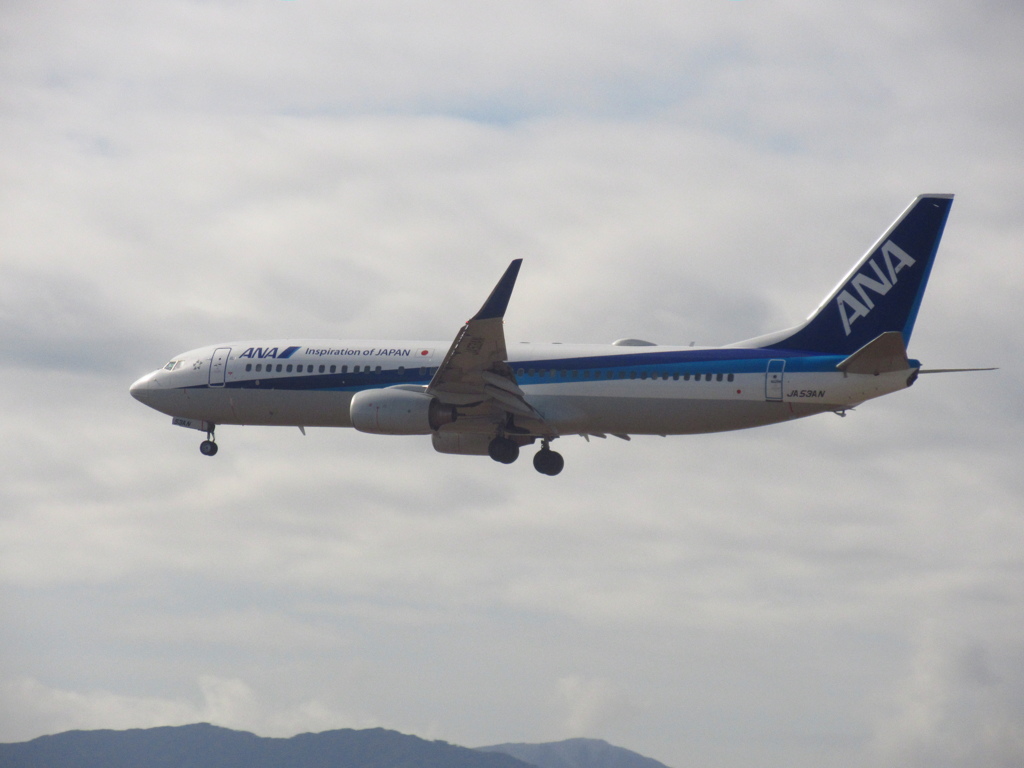 ANA　B737－800