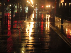 雨の中の外灯②