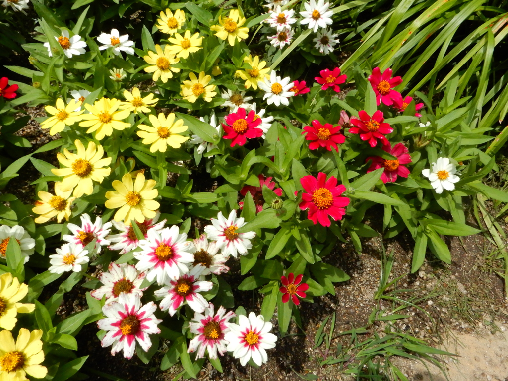 小倉北区の勝山公園　③