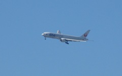 JAL B777　ONE　WORLDの旋回アプローチ