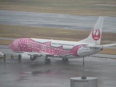 昨年３月の羽田にて③