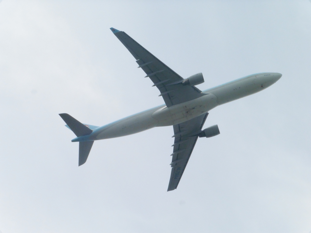 KOREAN AIR A330-300 HL7584