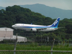ANA　B737-800着陸