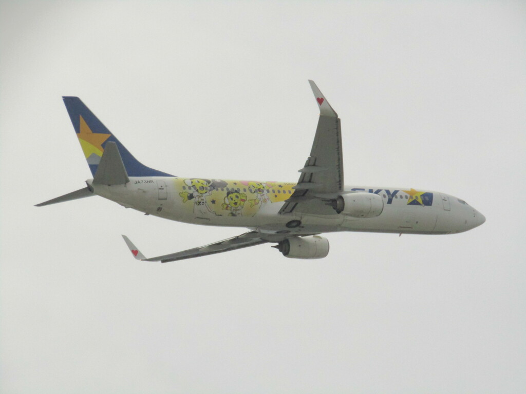 スカイマーク　タイガースジェット  JA73NR