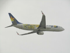 スカイマーク　タイガースジェット  JA73NR