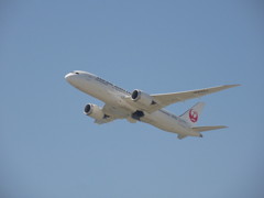 JAL  B787の離陸