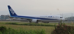 ANA  B767-300