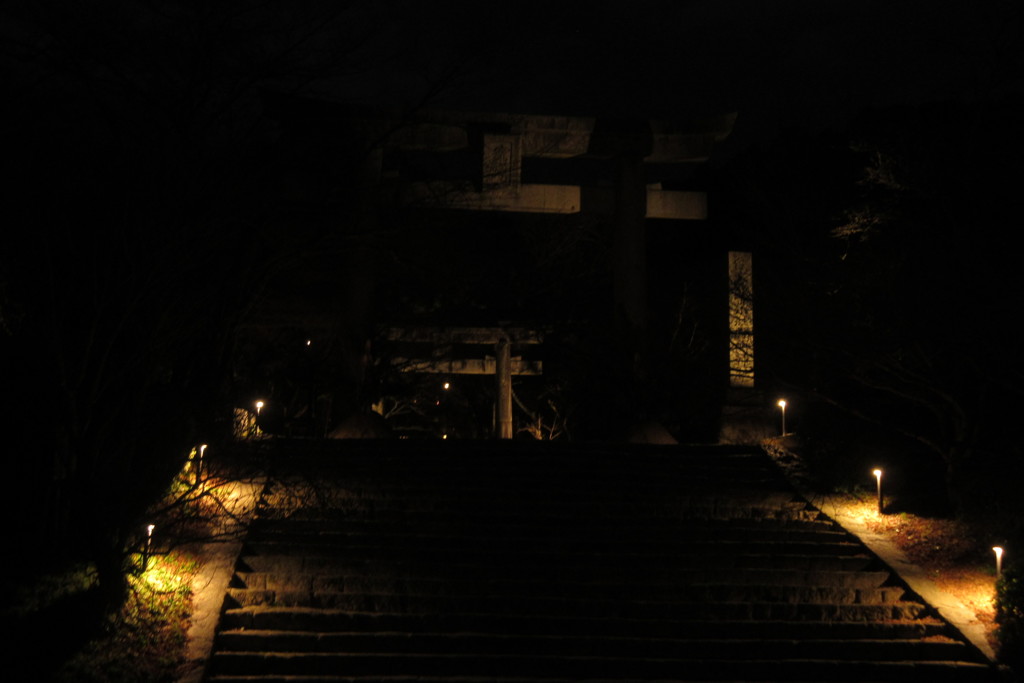 夜の参道と鳥居