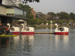 大濠公園にて　②