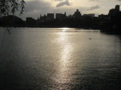 夕日を映し出す池の水面
