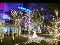 天神警固公園のイルミネーション②