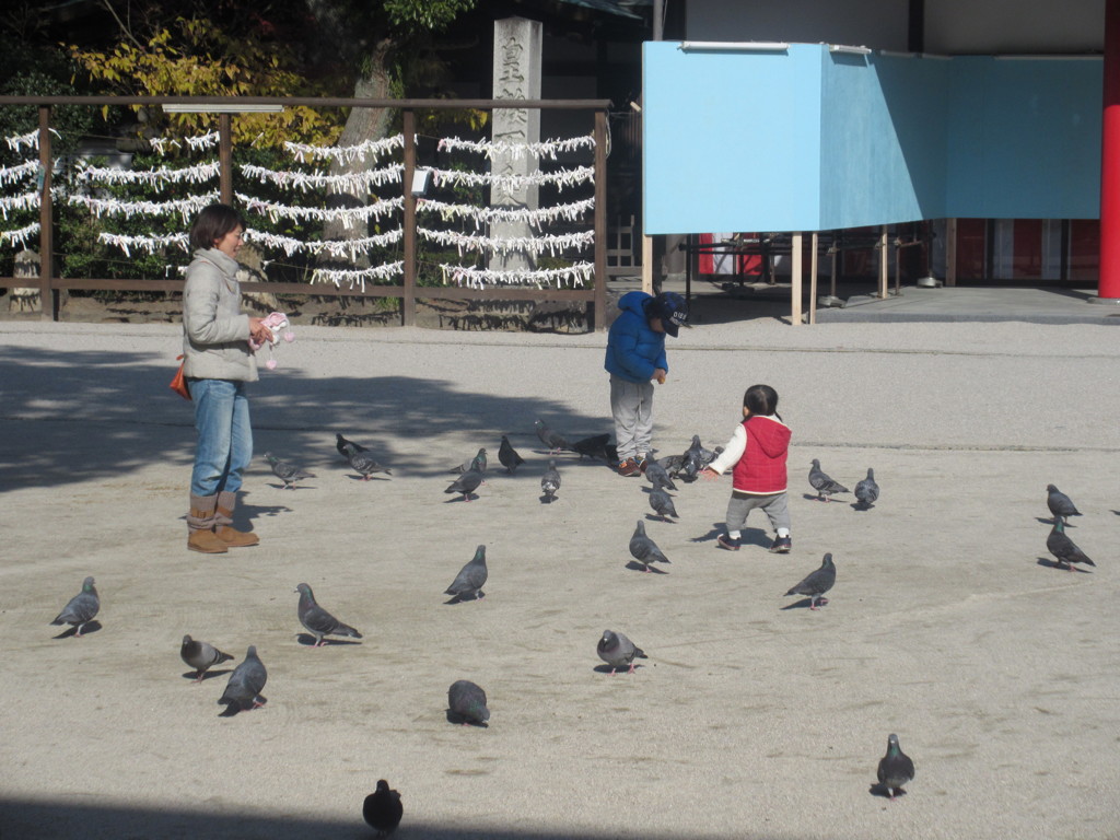 鳩と遊んでいる親子