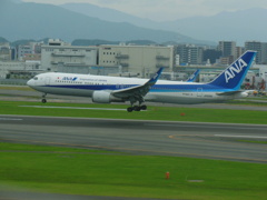 ANA  B767-300ER  WL　福岡空港ランディング　②