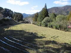 福岡　脇田温泉　④