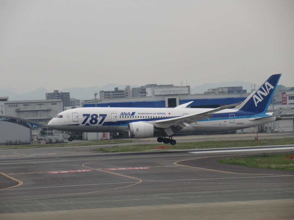 ANA　B787の着陸