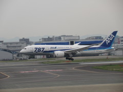 ANA　B787の着陸