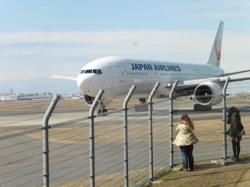 目の前からJAL　B777①