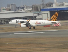 タイガーエア着陸