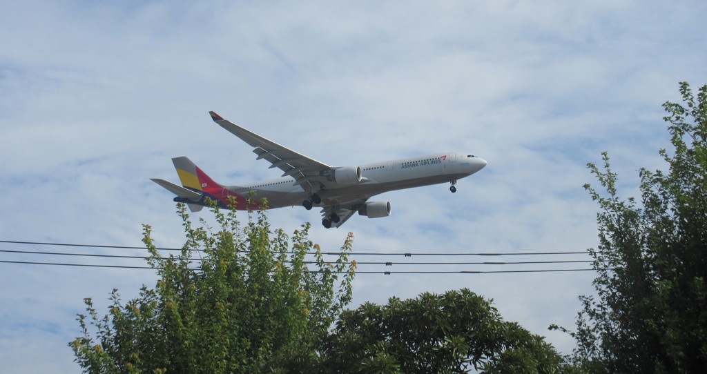 アシアナA330の到着①