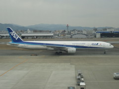 ANA  B777-300到着