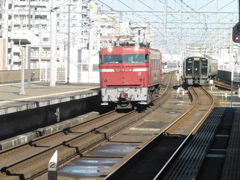 ED76-1081機関車と813系