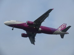 上空を通過するPEACH