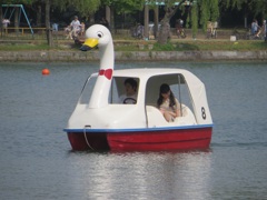 日曜の大濠公園②
