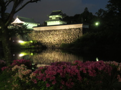 夜の福岡城にて