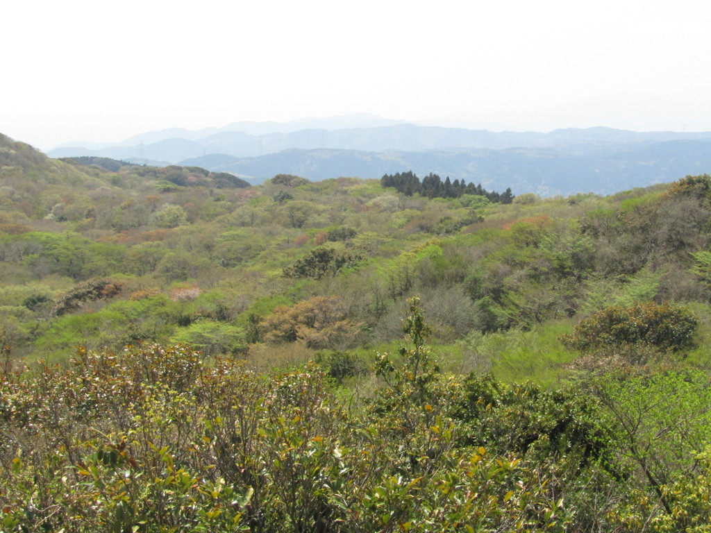九千部山登山　④