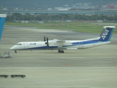 ANA　DHC8-Q400　到着