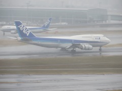ANA　B747羽田到着③