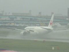 JAL  B777の着陸