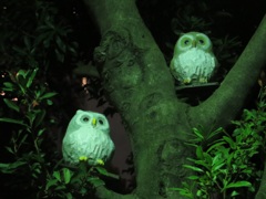 木の枝に置かれていたフクロウの置物