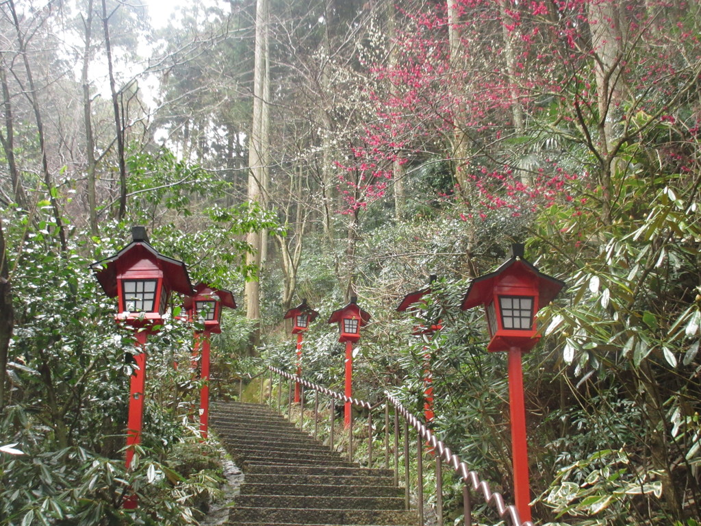 灯篭と紅梅