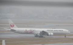 羽田国内線ターミナルより②