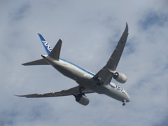 ANA　B787