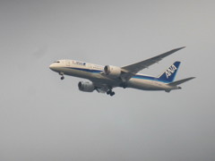 ANA  787-8  JA811A