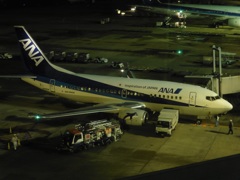 ANA  B737-500  ドルフィン