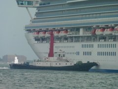 サファイアプリンセスとタグボート