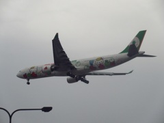 EVA　A330　キティ着陸