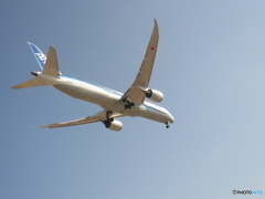 ANA　B787-9