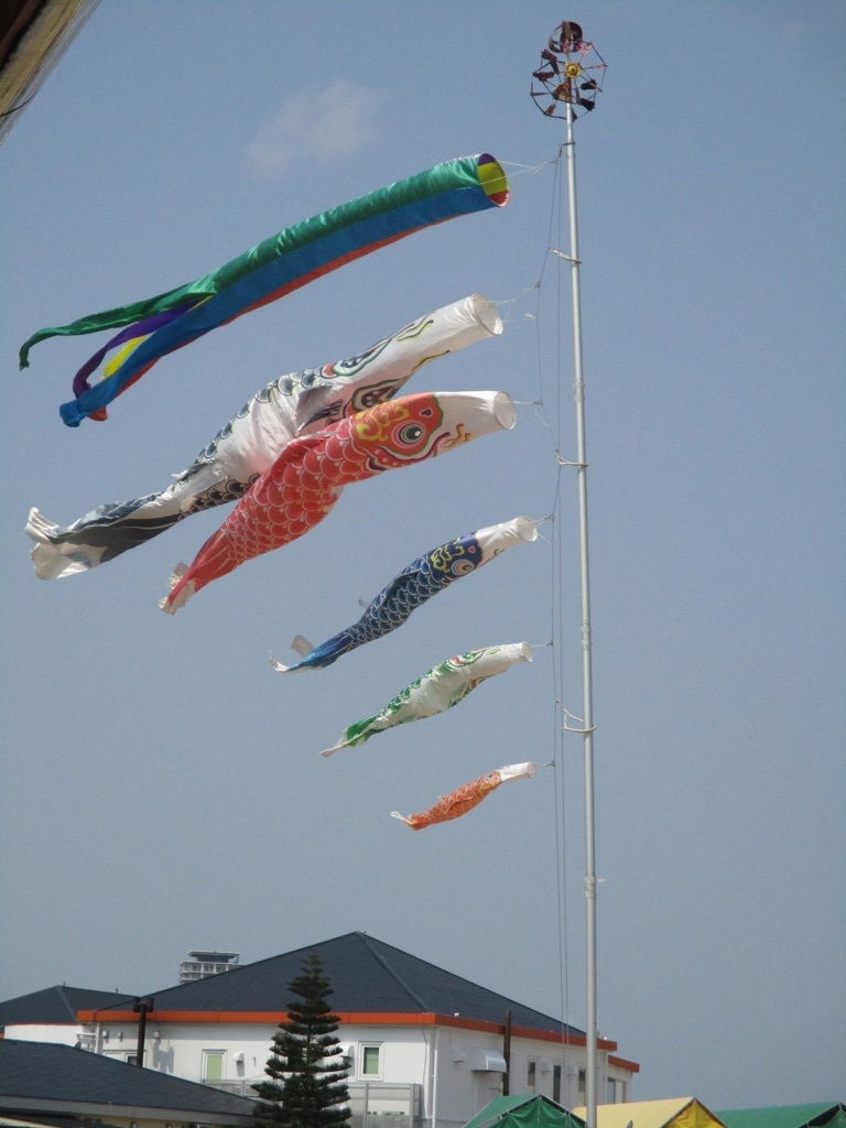 屋根より高い鯉のぼり。
