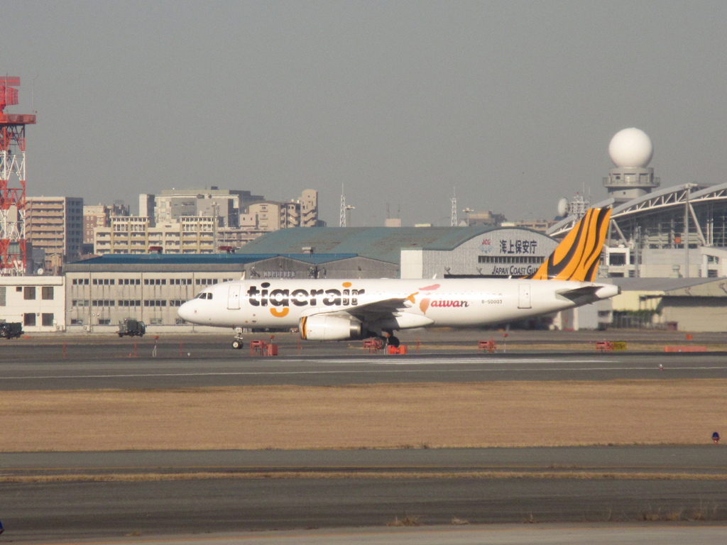tiger air台湾